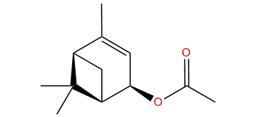 neoiso-Verbenol acetate